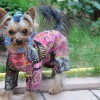 Одежда для Йоркширского терьера - Димон-Камон, одежда для собак