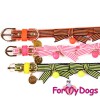 Ошейник из искусственной кожи для собак, оранжевого цвета, ForMyDogs - Димон-Камон, одежда для собак