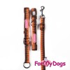 Неразъемный ошейник-удавка оранжевого цвета, светоотрающие элементы, для активных собак - Димон-Камон, одежда для собак