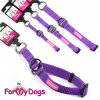 Спортивный ошейник - удавка для собак, фиолетового цвета, светоотражающая строчка, ForMyDogs - Димон-Камон, одежда для собак