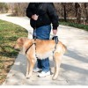 Шлейка для средних и больших пожилых, травмированных крупных собак, задние и передние ноги, CareLift 1619 - Димон-Камон, одежда для собак