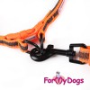 Светоотражающий ошейник оранжевого цвета для активных собачек - Димон-Камон, одежда для собак