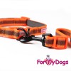 Светоотражающий ошейник оранжевого цвета для активных собачек - Димон-Камон, одежда для собак