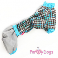 �������� ��� ����� ForMyDogs - �����-�����