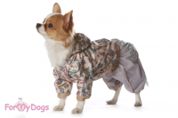 �������� ��� ������ ForMyDogs - �����-�����
