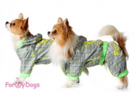 �������� ��� ������ ForMyDogs - �����-�����