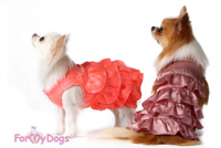 ������ �� �������� ��� ����� ForMyDogs - �����-�����