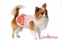 ������ ��� ������ ForMyDogs - �����-�����