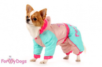 39 ��. ���������� �� ��������� ��� ������� ForMyDogs - �����-�����