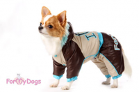 24 ��. ���������� �� ��������� ��� �������� ForMyDogs - �����-�����