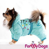 21 ��. ���������� ������, ��� �������� ForMyDogs - �����-�����