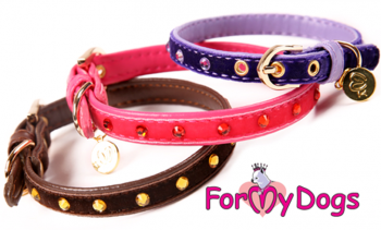Ошейник декоративный, велюровый, для маленьких собак, фиолетового цвета,  ForMyDogs - Димон-Камон, одежда для собак