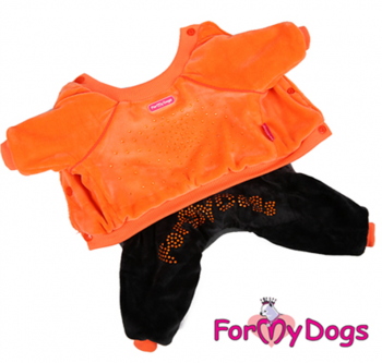Утепленный велюровый костюм для маленьких собак, ForMyDogs - Димон-Камон, одежда для собак
