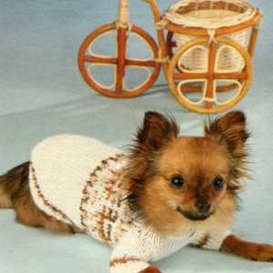 Белый свитер с жаккардовым узором - Димон-Камон, одежда для собак