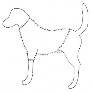 Как делать выкройки одежды для собак - Димон-Камон, одежда для собак