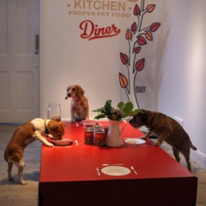 Рестораны для собак - Димон-Камон, одежда для собак