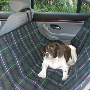 Безопасность собаки в автомобиле, часть 4 - Димон-Камон, одежда для собак