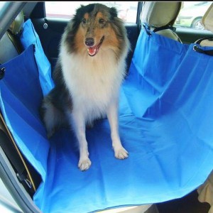 Безопасность собаки в автомобиле, часть 5 - Димон-Камон, одежда для собак