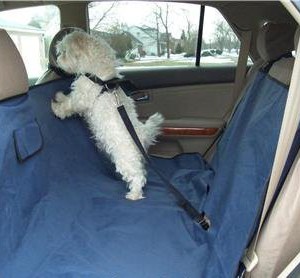 Безопасность собаки в автомобиле, часть 6 - Димон-Камон, одежда для собак