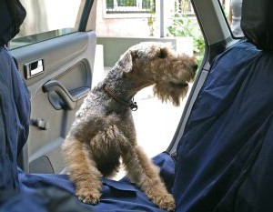 Гамак для перевозки собак в машине OSSO Car Premium - Димон-Камон, одежда для собак