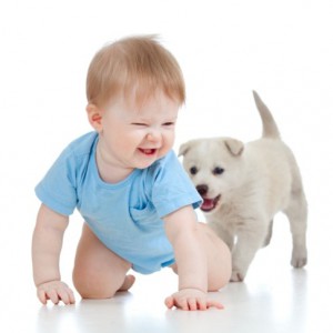 Младенец в дома с собакой - Димон-Камон, одежда для собак