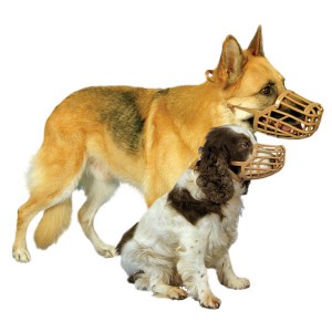 Приучение собаки к наморднику - Димон-Камон, одежда для собак