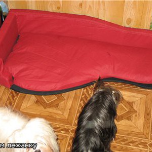 Царская кроватка для собаки - Димон-Камон, одежда для собак