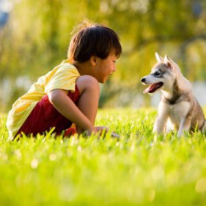 Как приучить ребенка к уходу за своей собакой - Димон-Камон, одежда для собак