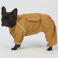 Прогулочный комбинезон для собаки - Димон-Камон, одежда для собак