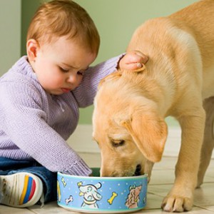 Ребенок и щенок в квартире - Димон-Камон, одежда для собак