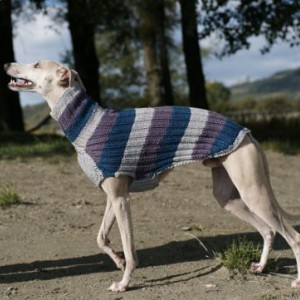 Домашняя одежда для крупных собак - Димон-Камон, одежда для собак