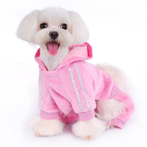 Выбор одежды для вашей собаки  - Димон-Камон, одежда для собак