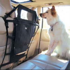Аксессуары для транспортировки собак в автомобиле - Димон-Камон, одежда для собак