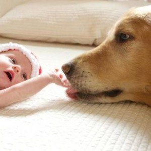 Новорожденный младенец и собака в одной семье - Димон-Камон, одежда для собак