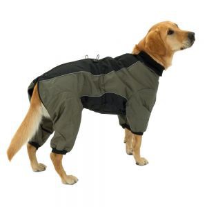 Выбираем одежду для собак - Димон-Камон, одежда для собак