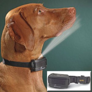 Электронные радиоуправляемые ошейники для собак ( 2) - Димон-Камон, одежда для собак