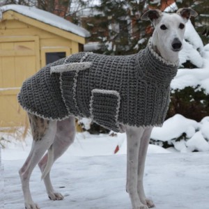 Одежда для собак на сильный мороз - Димон-Камон, одежда для собак