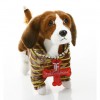 Одежда для Бигля - Димон-Камон, одежда для собак