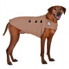 Одежда для Родезийского риджбека - Димон-Камон, одежда для собак