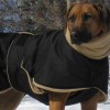 Одежда для Ризеншнауцера - Димон-Камон, одежда для собак