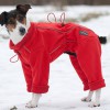 Одежда для Парсон рассел терьера - Димон-Камон, одежда для собак