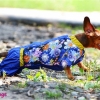 Одежда для  Кроличьей таксы - Димон-Камон, одежда для собак
