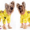 Одежда для  Китайской хохлатой собаки - Димон-Камон, одежда для собак