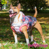 Куртка для больших собак, расцветка "Пэчворк" - Димон-Камон, одежда для собак