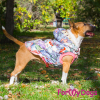 Куртка для больших собак, расцветка "Пэчворк" - Димон-Камон, одежда для собак