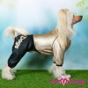 Костюм из трикотажа для маленьких собак - Димон-Камон, одежда для собак