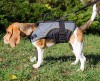 Extra small. Нейлоновая утепленная шлейка для собаки инвалида, ForDogTrainers - Димон-Камон, одежда для собак