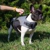 Extra small. Нейлоновая утепленная шлейка для собаки инвалида, ForDogTrainers - Димон-Камон, одежда для собак