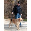 Пояс для средних и больших пожилых, травмированных собак, задние ноги, CareLift 9002 - Димон-Камон, одежда для собак