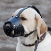 Универсальный, повседневный кожаный намордник для собаки, ForDogTrain - Димон-Камон, одежда для собак
